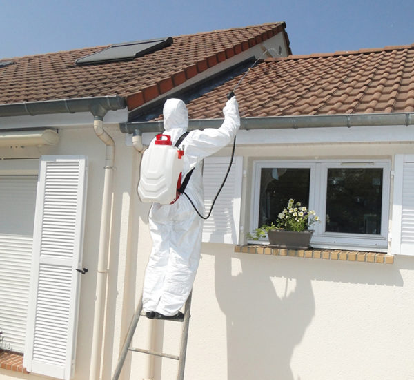 dorsal-sprayer-nettoyage-toiture-600x550