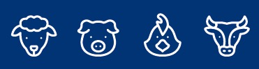 animaux