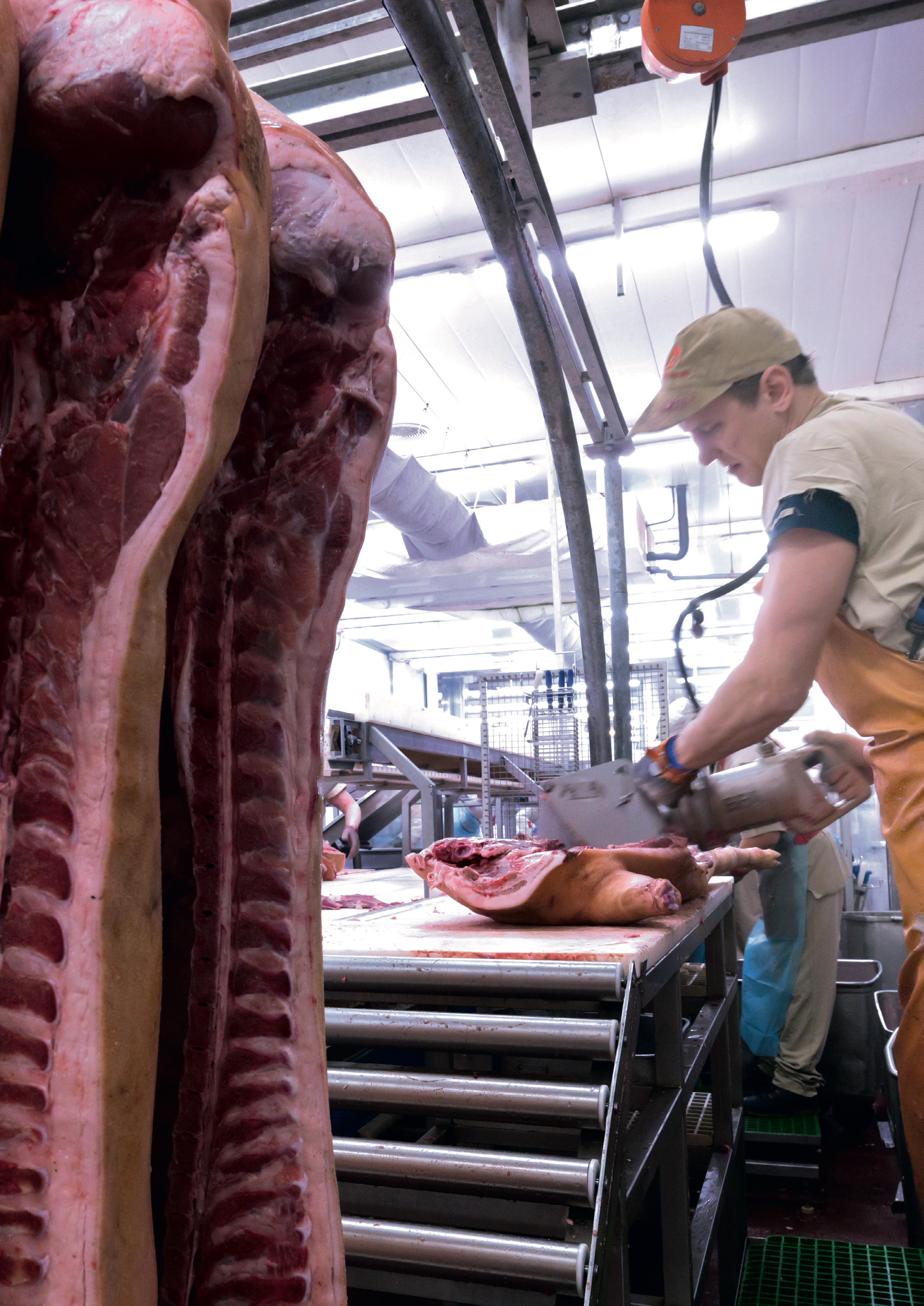 Découpe de viande avec scie et équilibreur